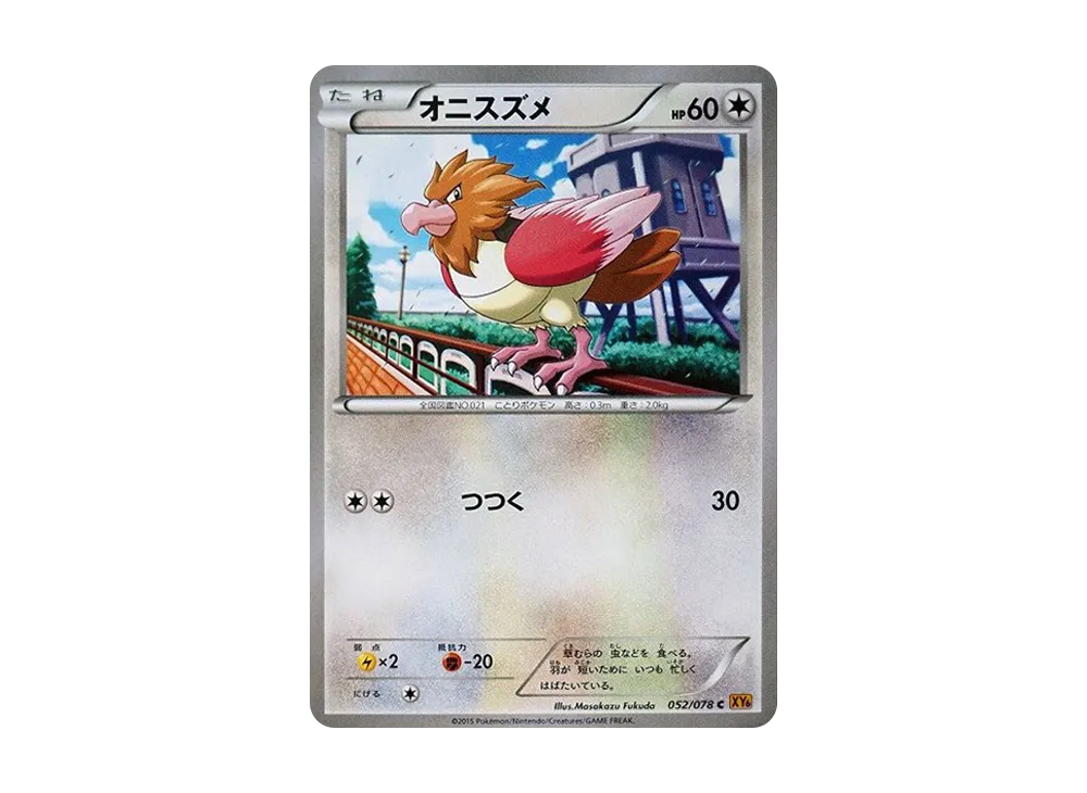 波波鳥 C [XY6 052/078](擴充包「翡翠突破」)