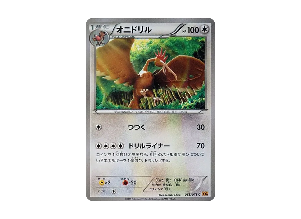 大嘴雀 C [XY6 053/078](擴充包「翡翠突破」)