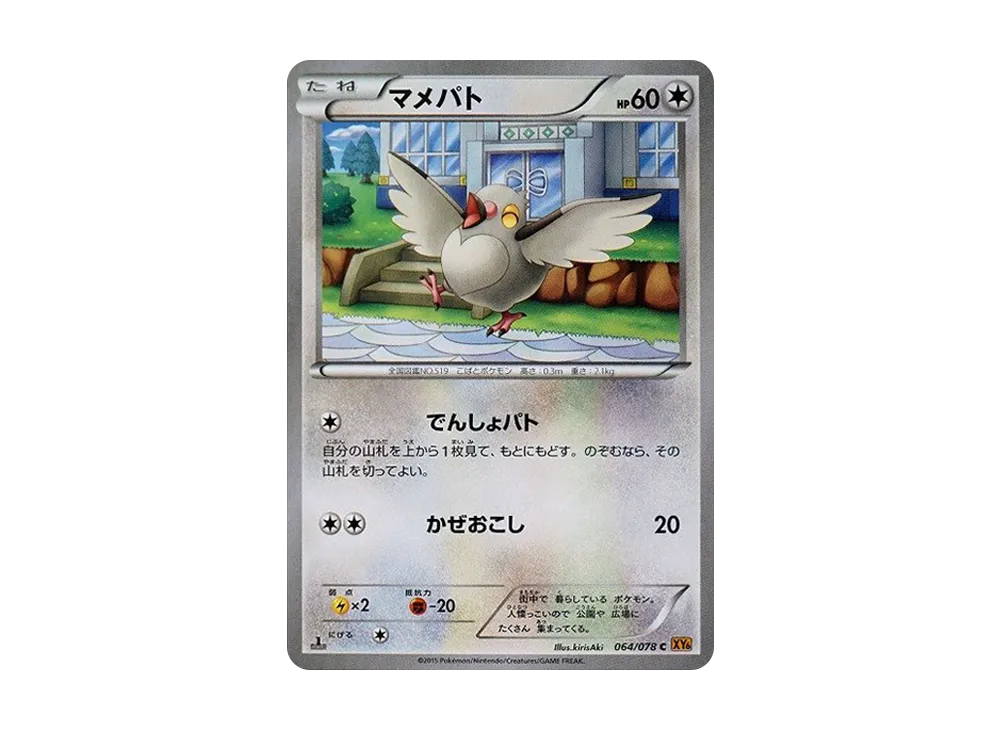 マメパト