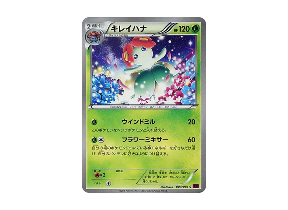 美麗花 C [XY7 004/081](擴充包「盜賊之環」)