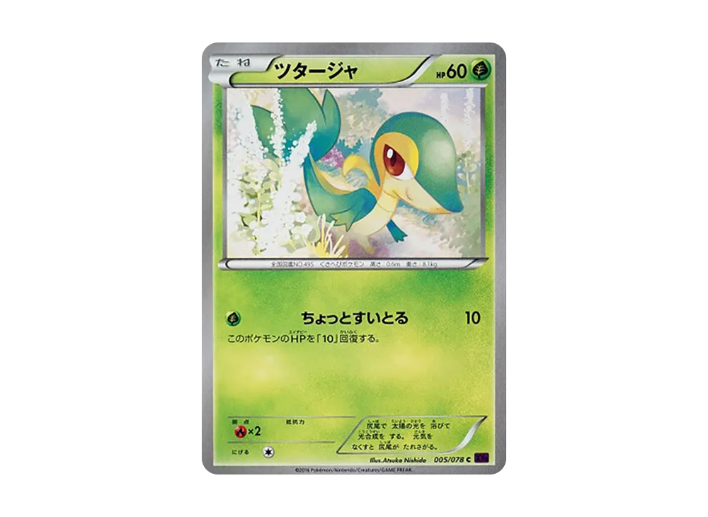Snivy C [XY10 005/078](Expansion Pack "Fates Collide")