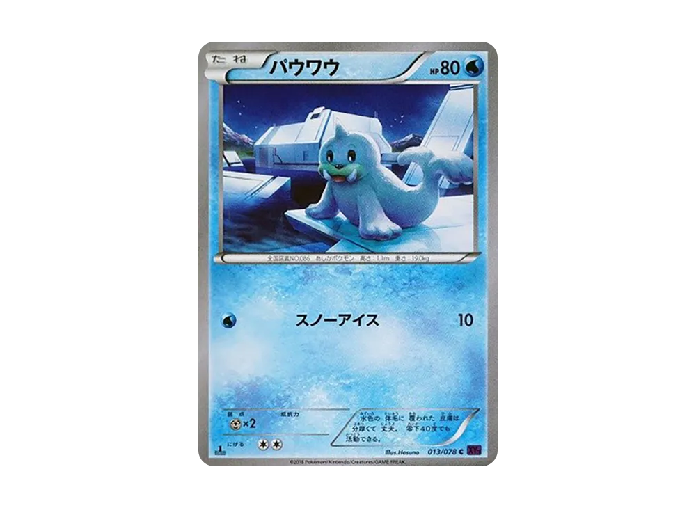 Seel