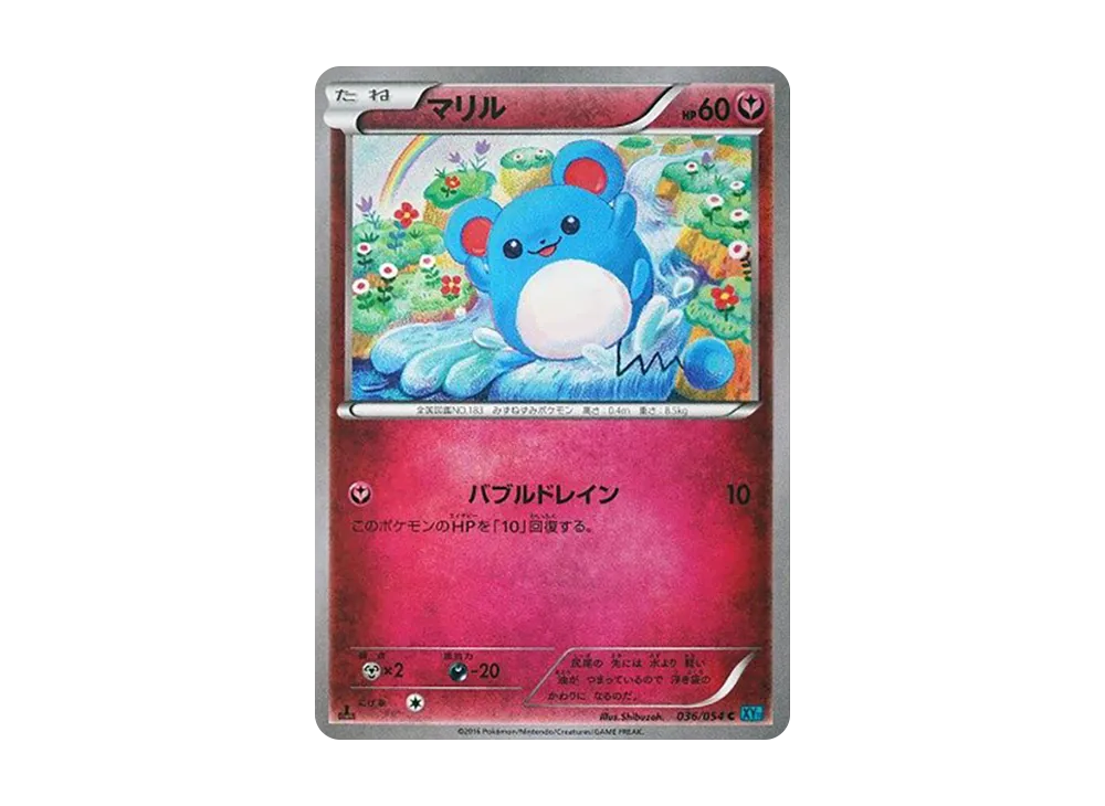 マリル C :1ED [XY11 036/054](拡張パック「冷酷の反逆者」)の