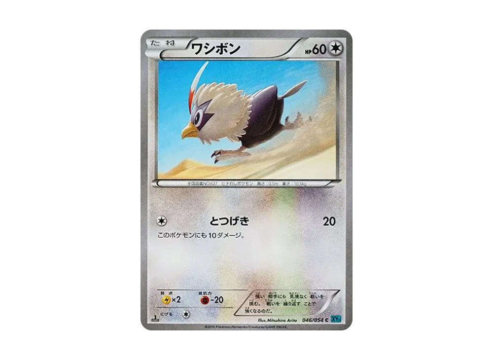 Rufflet C :1ED [XY11 046/054](Expansion Pack "Cold Rebel")