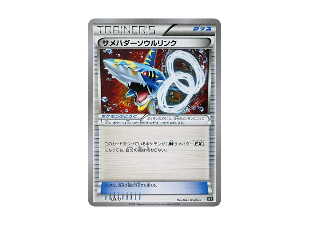 Sharpedo Spirit Link