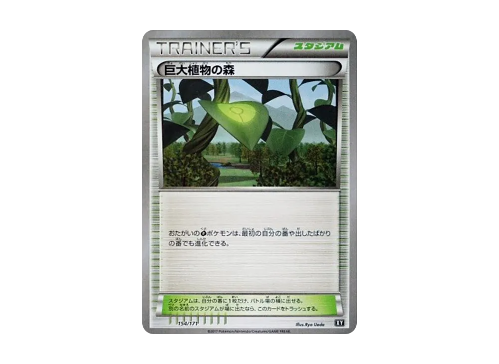 Forest of Giant Plants