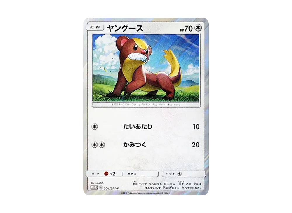ヤングース