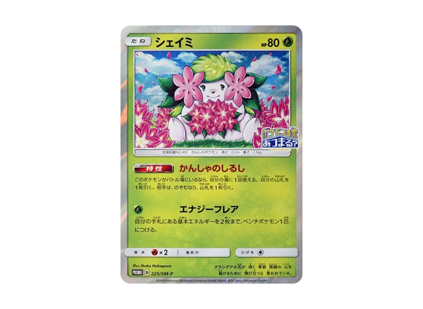 pkmn-tcg-7325734-yu.webp?size=l pkmn-tcg-7325734-yu.webp?size=l