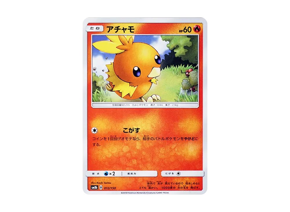 Torchic
