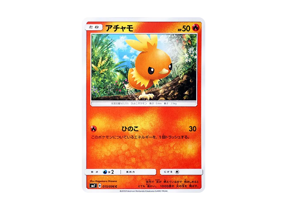 Torchic