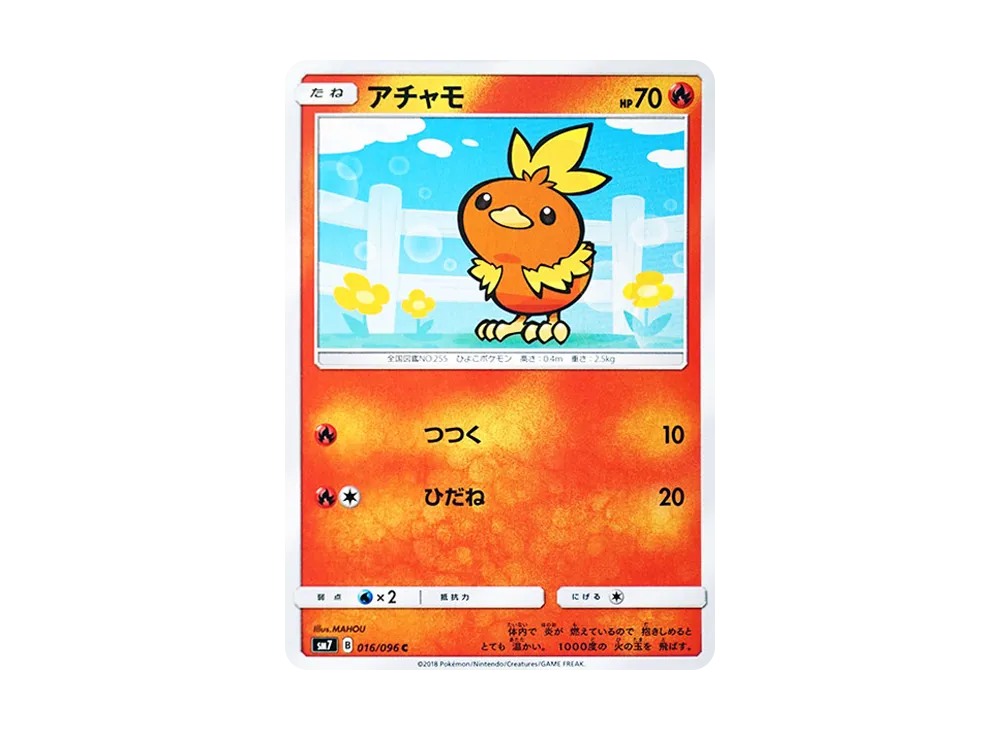 Torchic