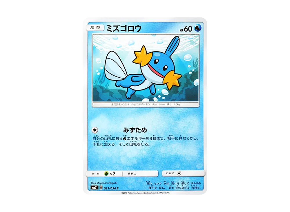 Mudkip