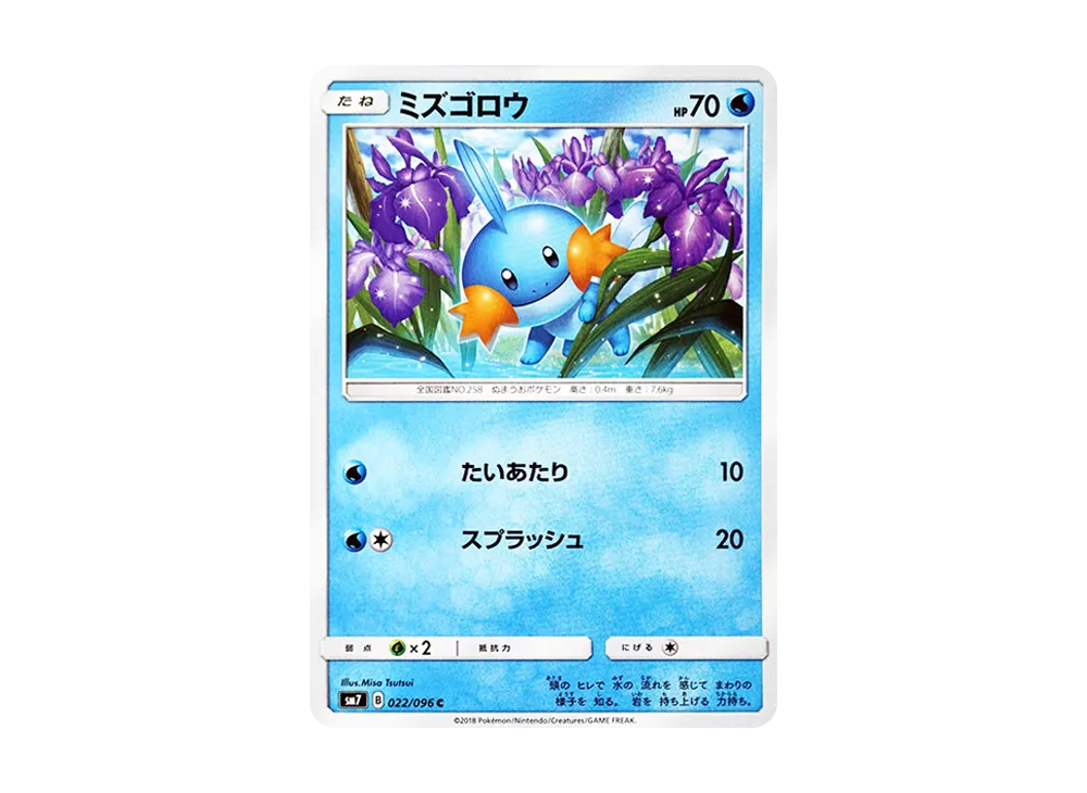 Mudkip