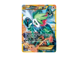 pkmn-tcg-en-XY-P-77a_a-ot.webp pkmn-tcg-en-XY-P-77a_a-ot.webp