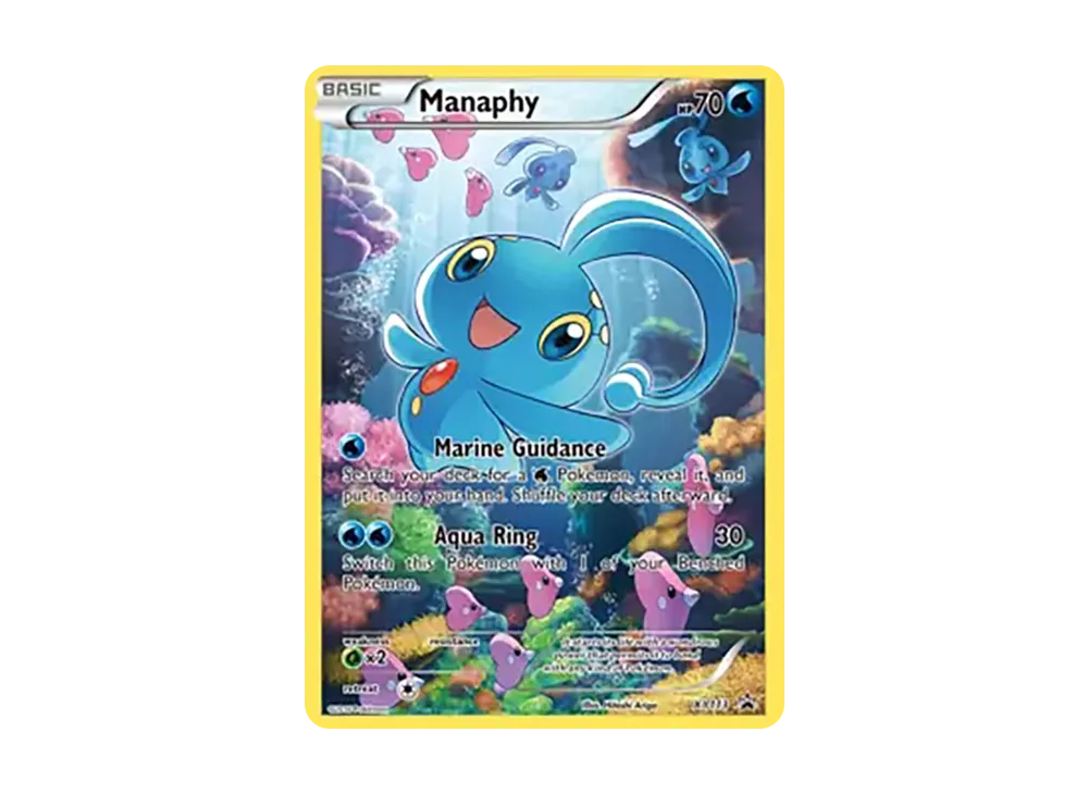 pkmn-tcg-en-XY-P-XY113-ot.webp