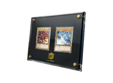 遊戯王OCG デュエルモンスターズ クォーターセンチュリーシークレットレア スペシャルカードセット 青眼の白龍 & 真紅眼の黒竜