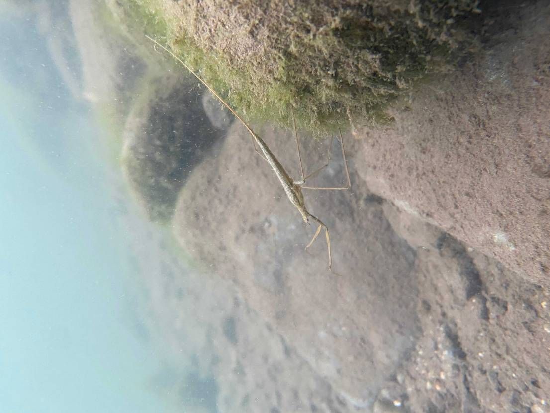 今日はこいつを履いて群馬の釣り場へ☺️
水色なので水場に合