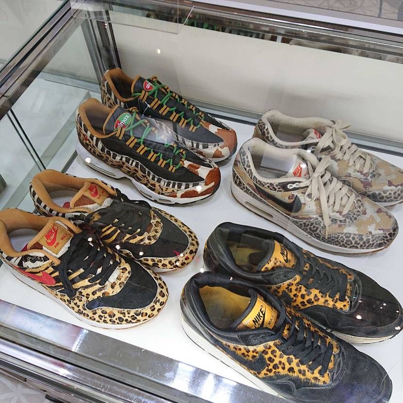 g-kenさんのコレクション見てきました‼️