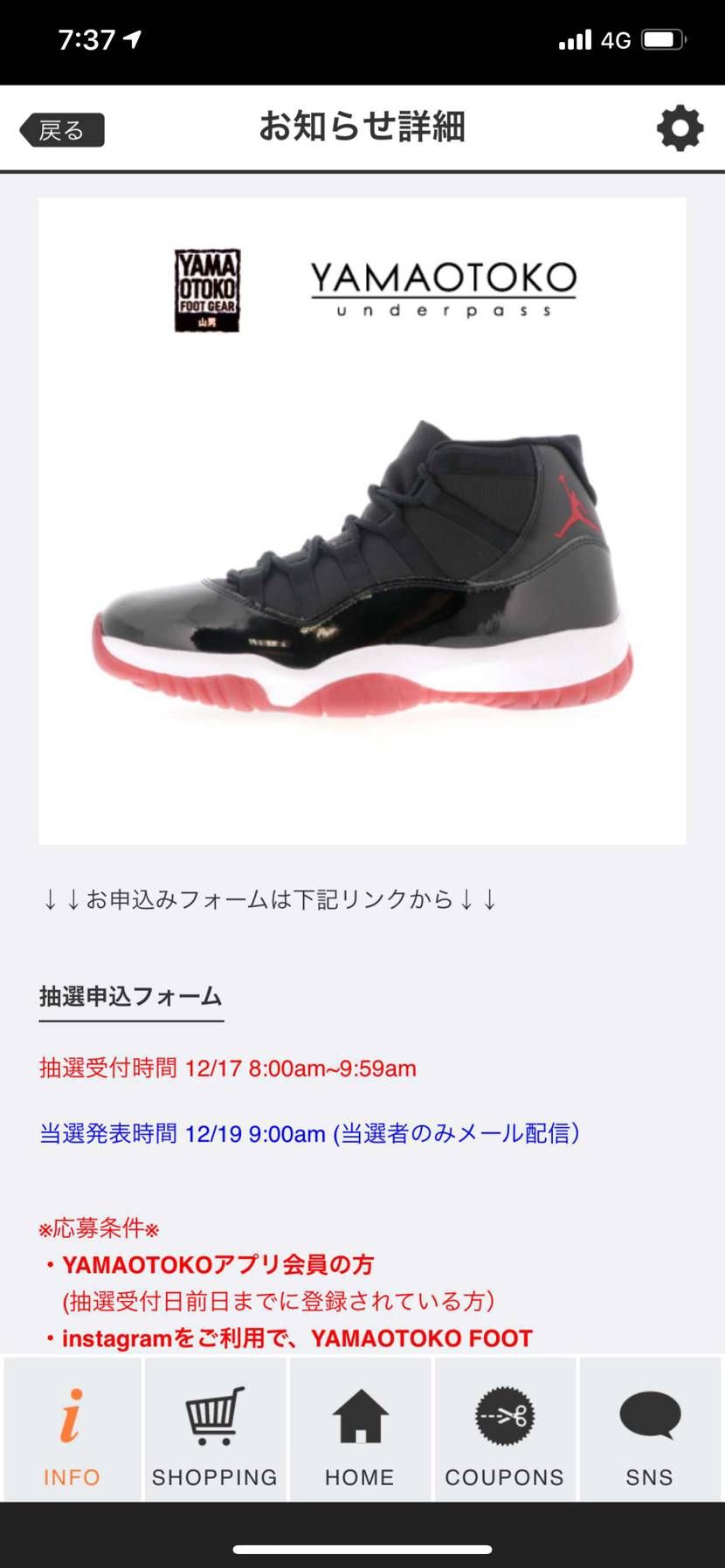 🐿さん？