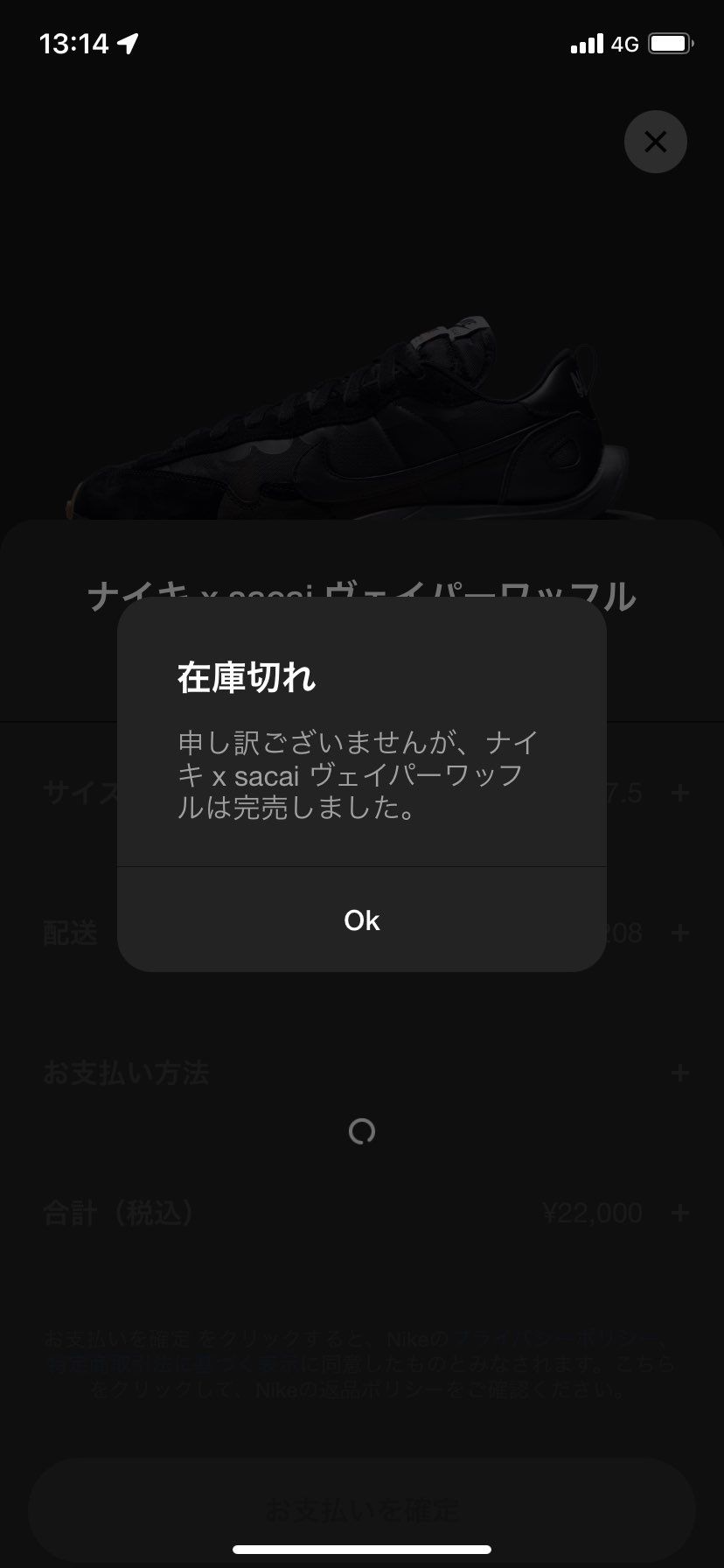 リス間に合わず🐿💦