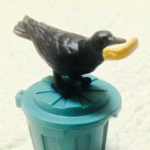 杉本駿介(出品者)