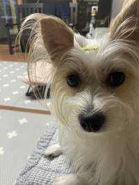 ユーザーアイコン