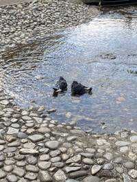 ユーザーアイコン