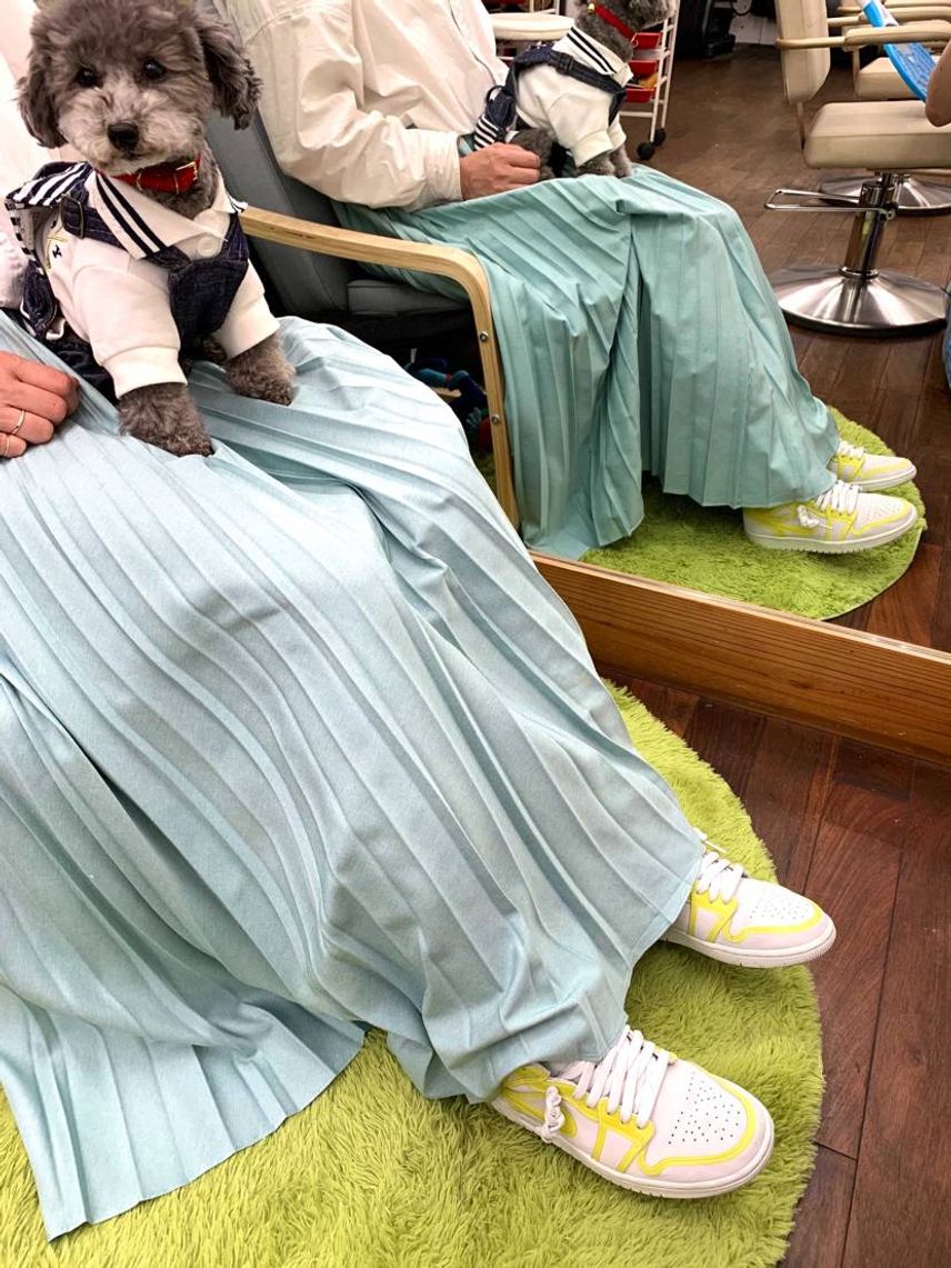 スタッフにプレゼントして、履いて貰って、見て楽しむジョーダン😊俺には似合わない