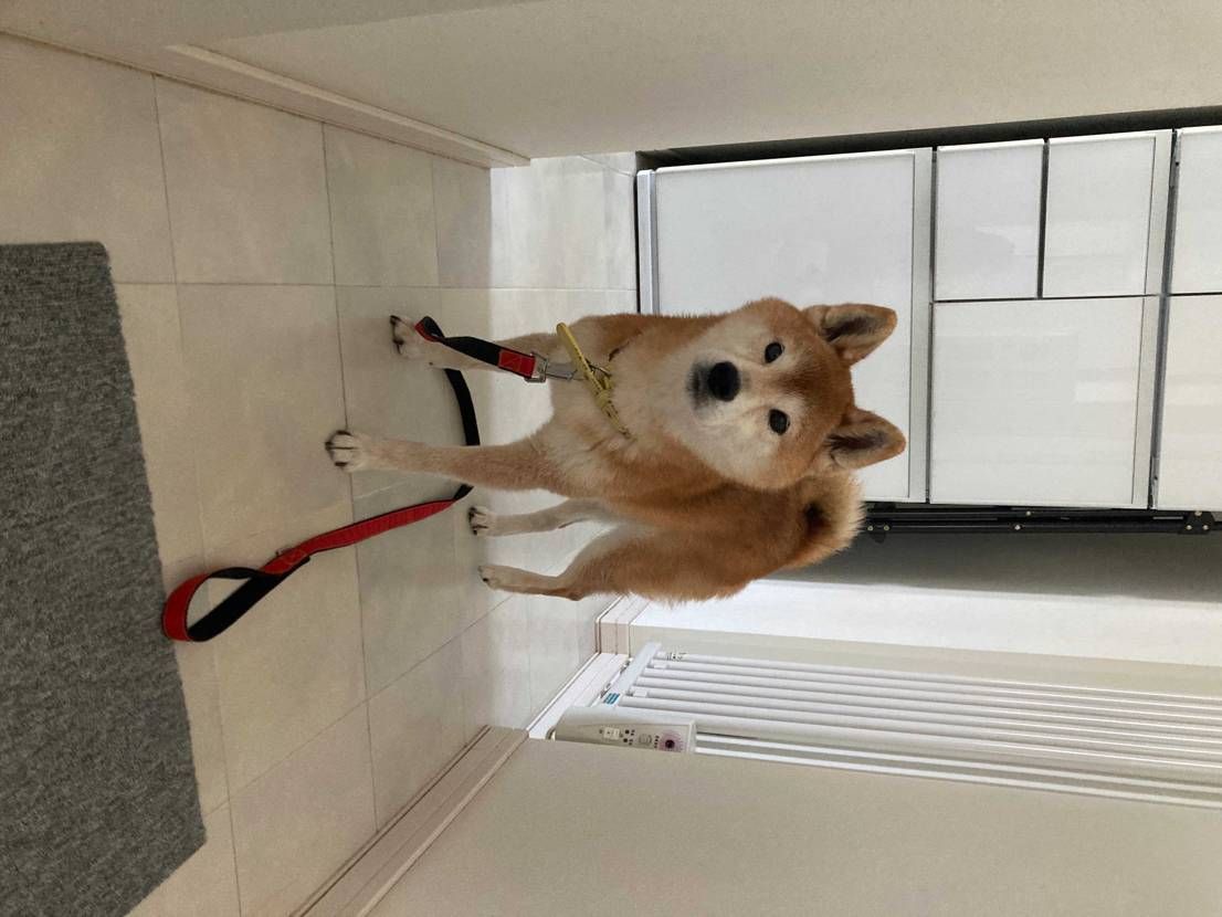 休日です。

サンバは相変わらず良いね◉
ロードバイク