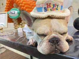 ユーザーアイコン