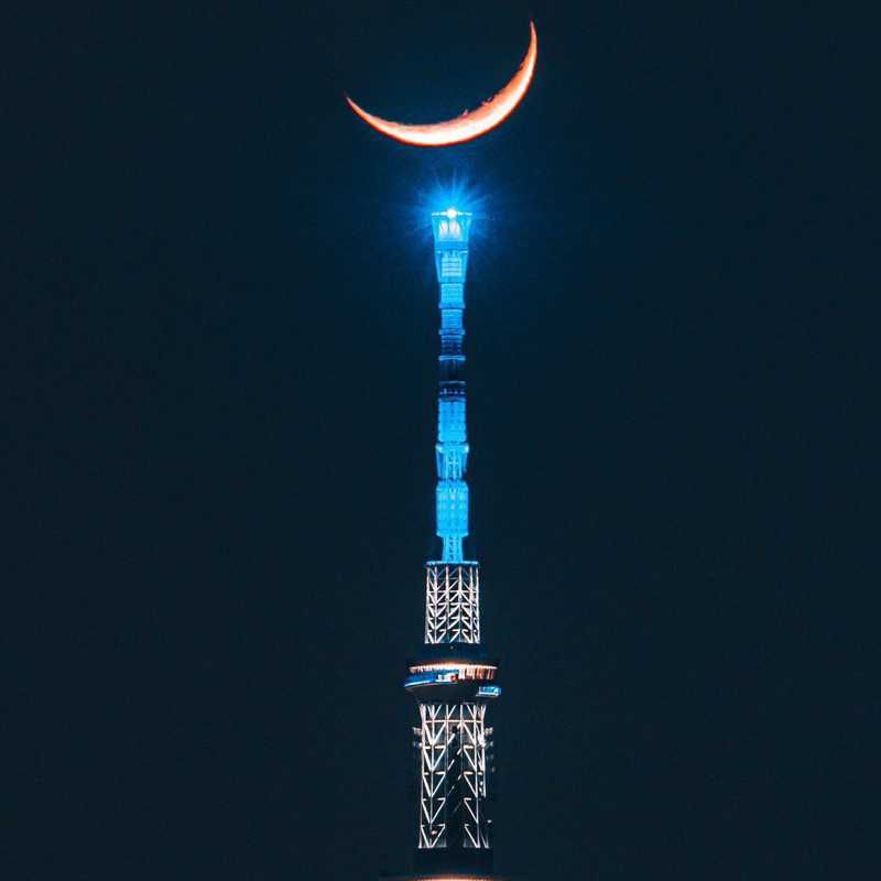 masaki