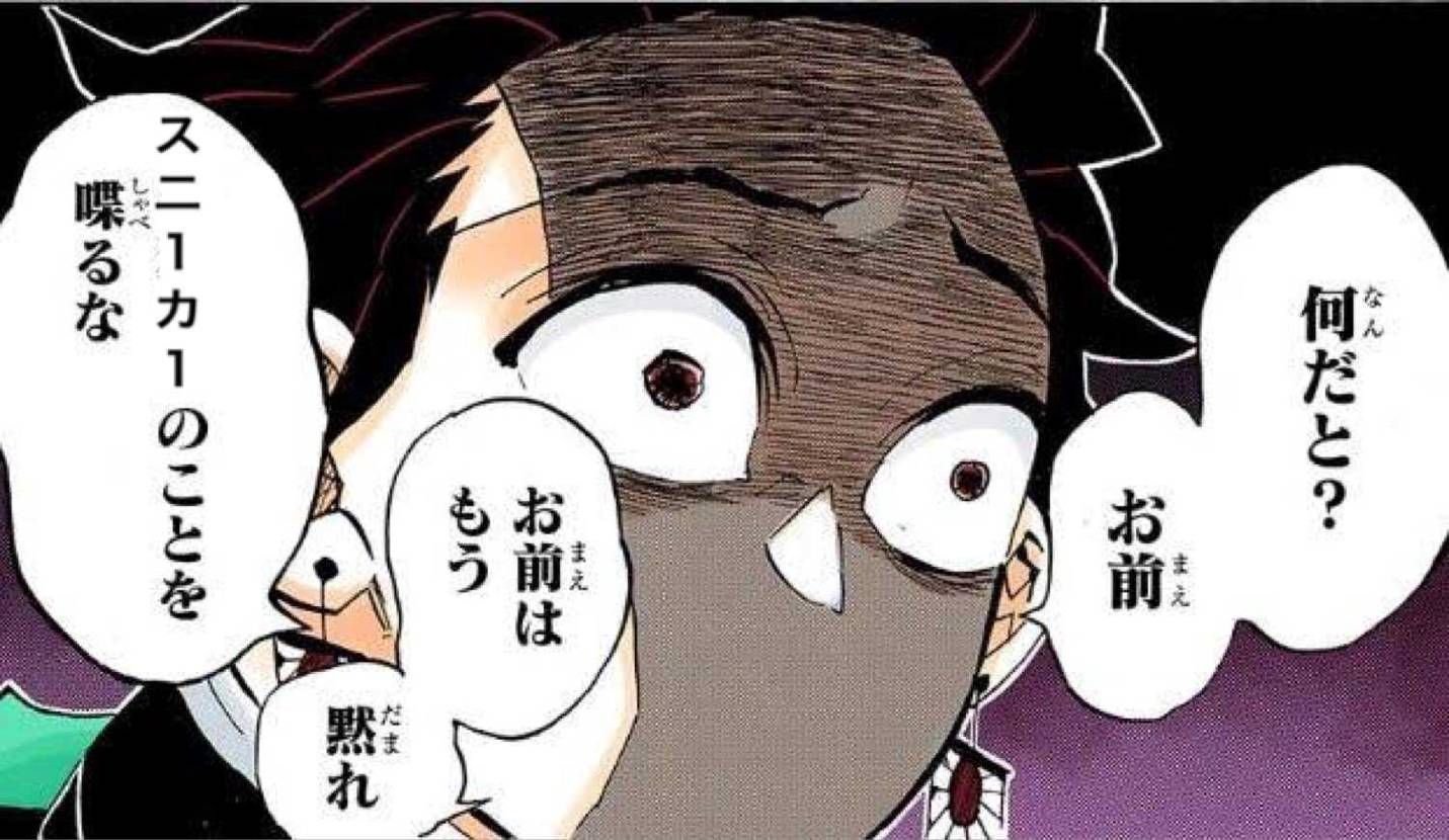 スニダンの縮図