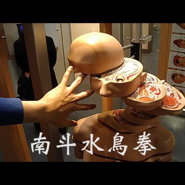 大志(出品者)