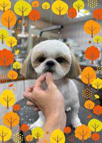 ユーザーアイコン