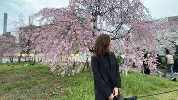 ディンハン
