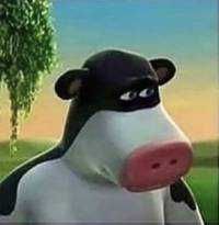 liltenga