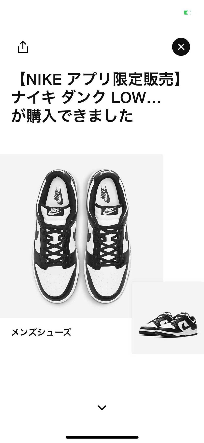 ナイキ様ありがとう