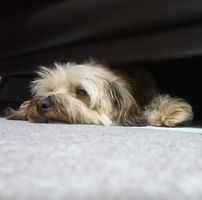 ユーザーアイコン