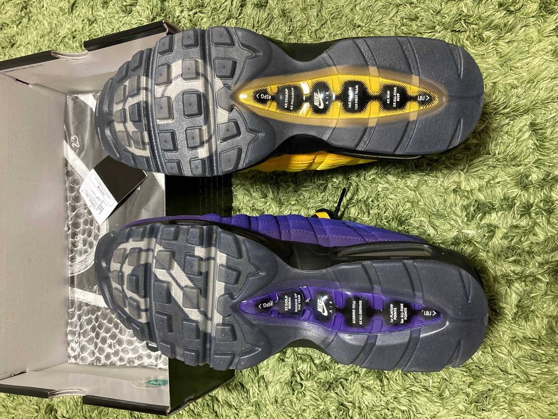 NIKE AIR MAX 95 NRG "LEBRON/LA