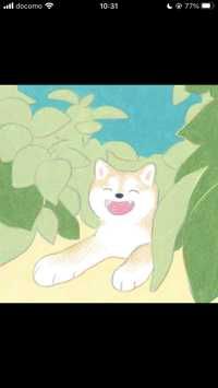 KABE