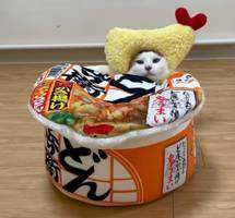 ボタン(出品者)