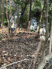ほほ