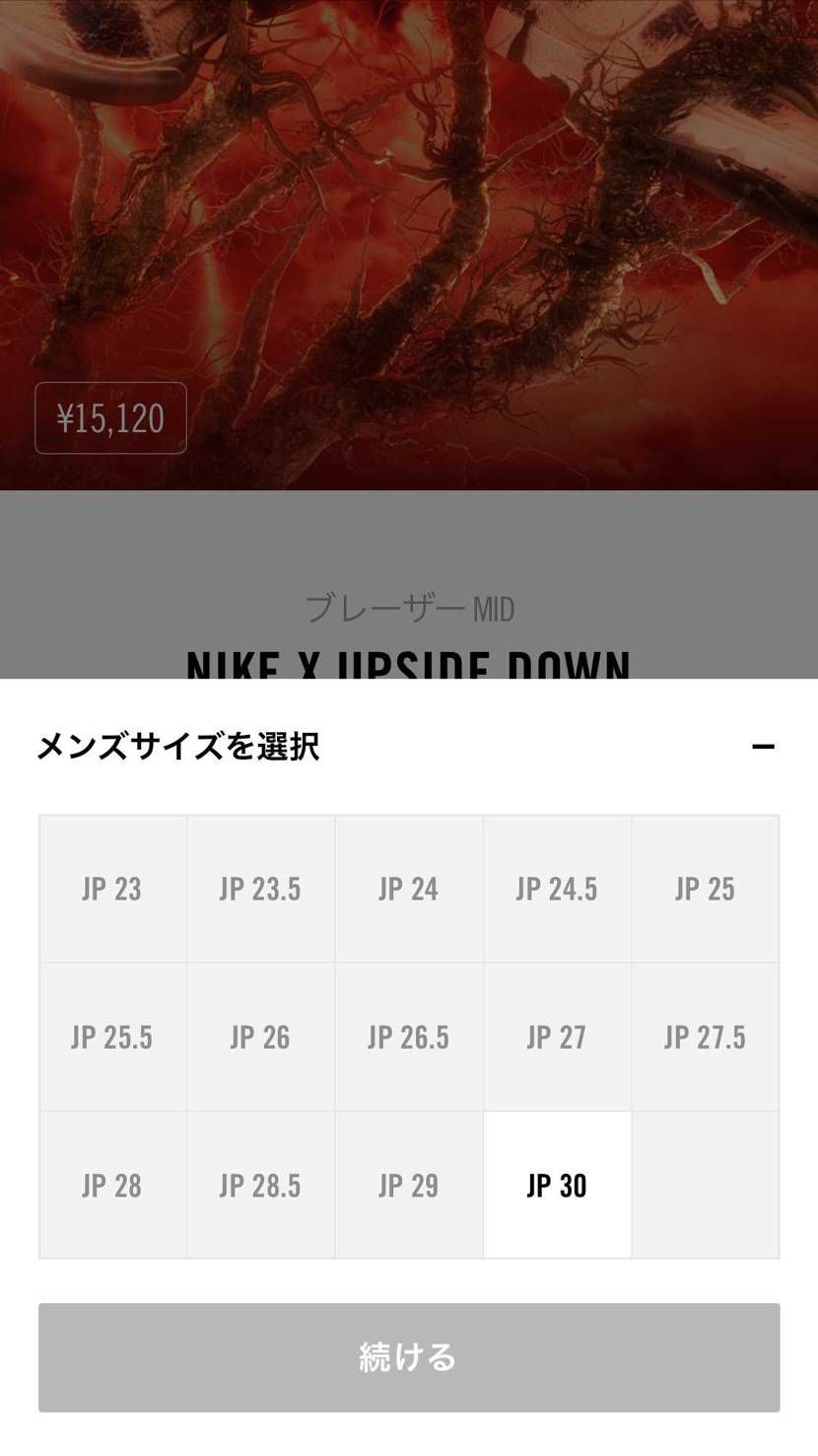 ブレーザーの30cm残ってます