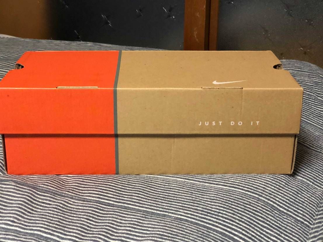 先日某オクにてDUNKのブラジルカラーを入手✨
今日届いて