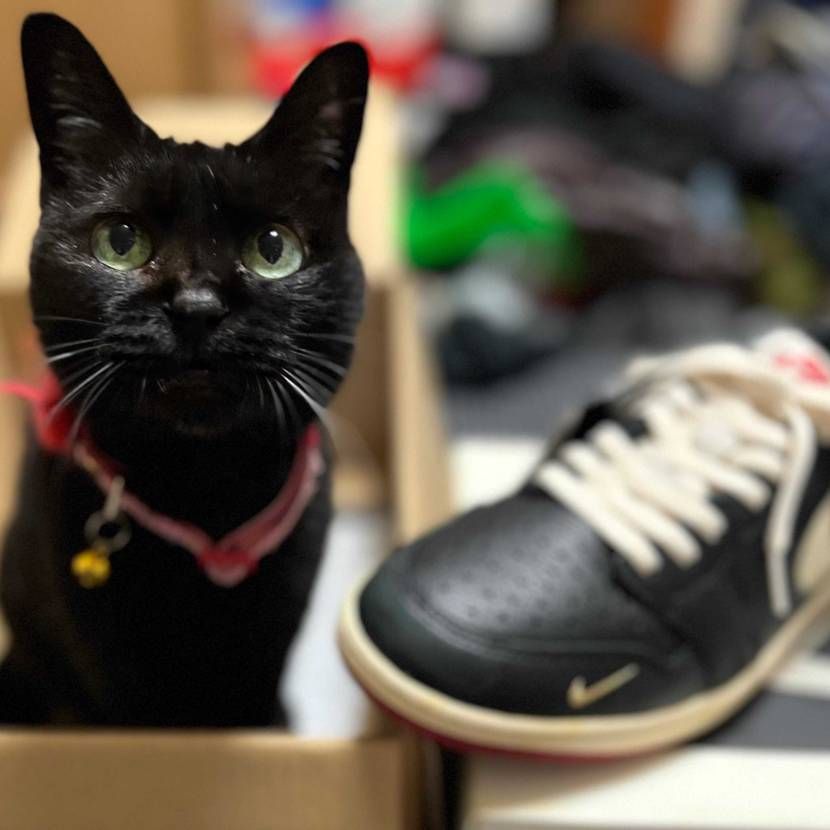 本日到着
写真より100倍良い‼️
皮の質感やユーズド加工、全てが完璧
シ