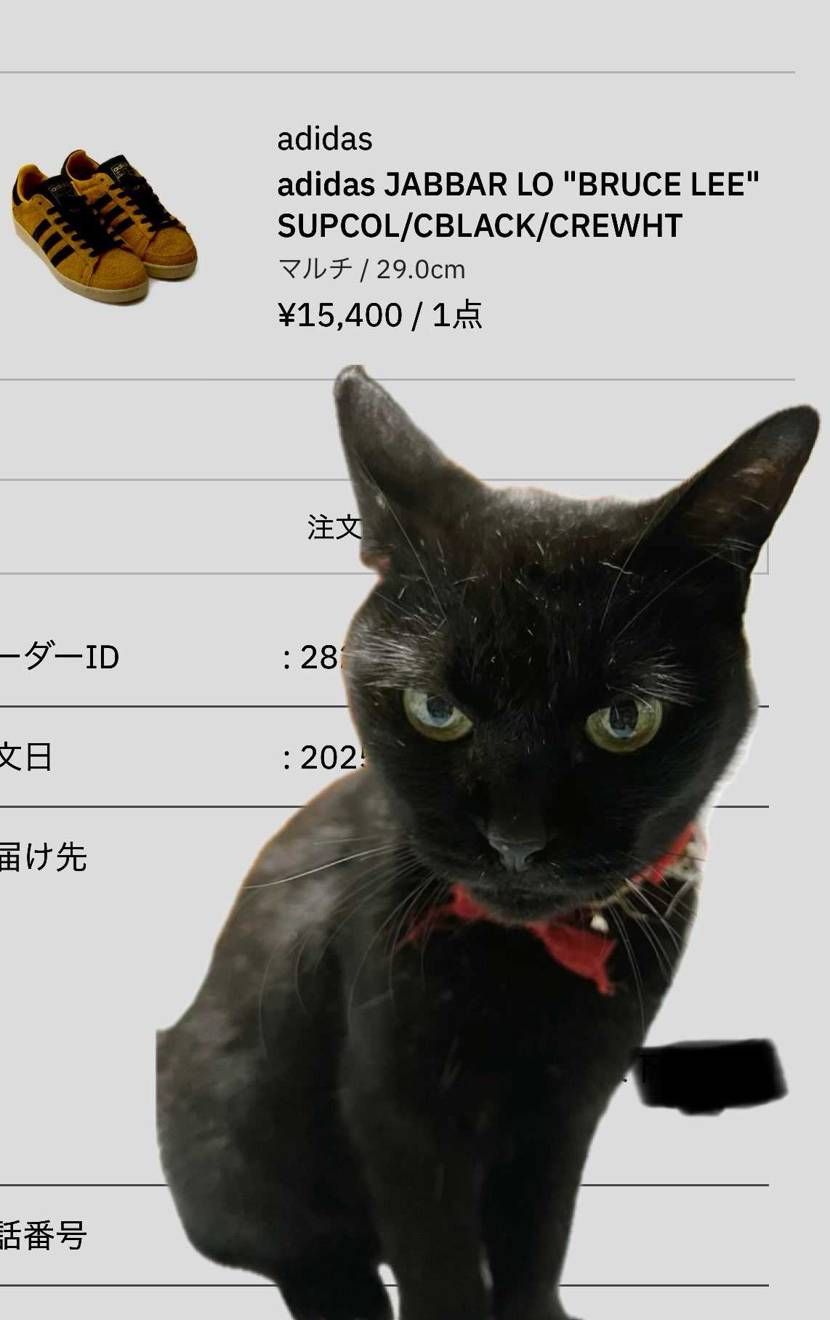 CONFIRMED落選して焦って店舗まですっ飛んでったけど、途中でatmosチェ