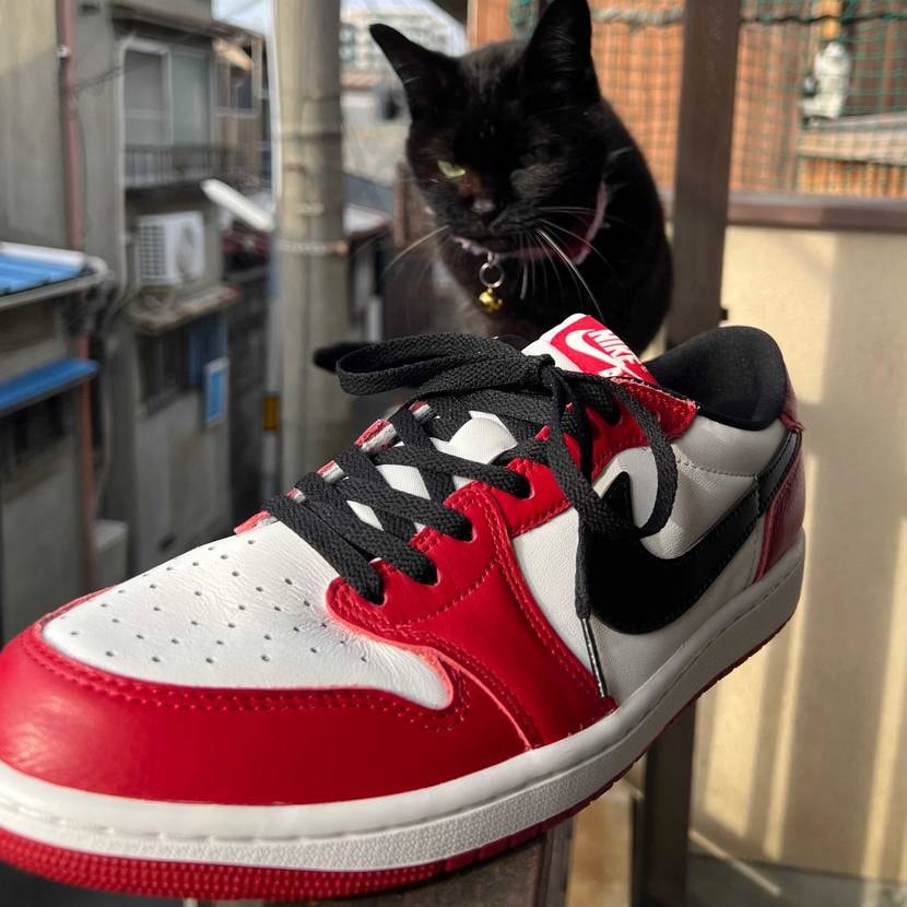 Atmosから届いたシカゴロー
めちゃくちゃ嬉しいんやけど取れないボンドが付着