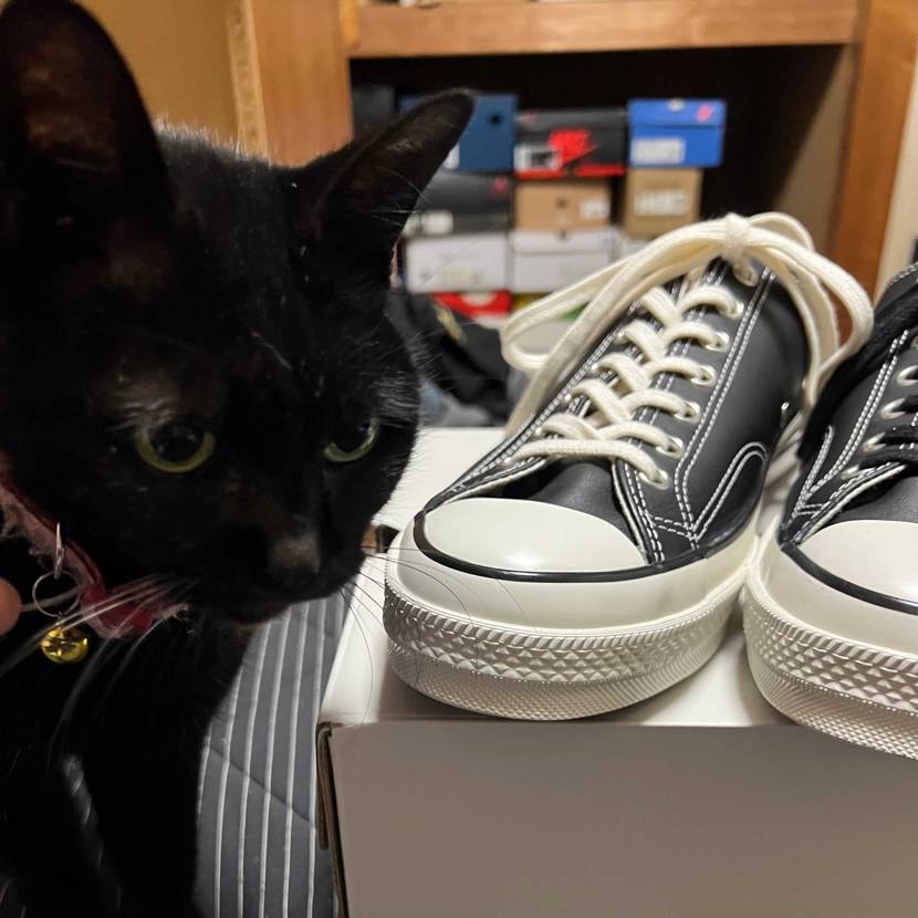 間違いない1足
見た瞬間に購入
ただ悩みが
どっちのシューレースもカッコ良