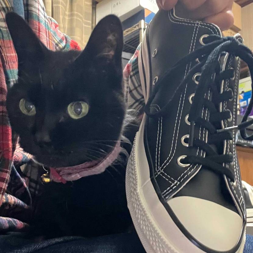 間違いない1足
見た瞬間に購入
ただ悩みが
どっちのシ