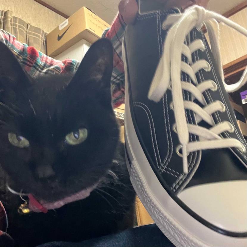 間違いない1足
見た瞬間に購入
ただ悩みが
どっちのシ